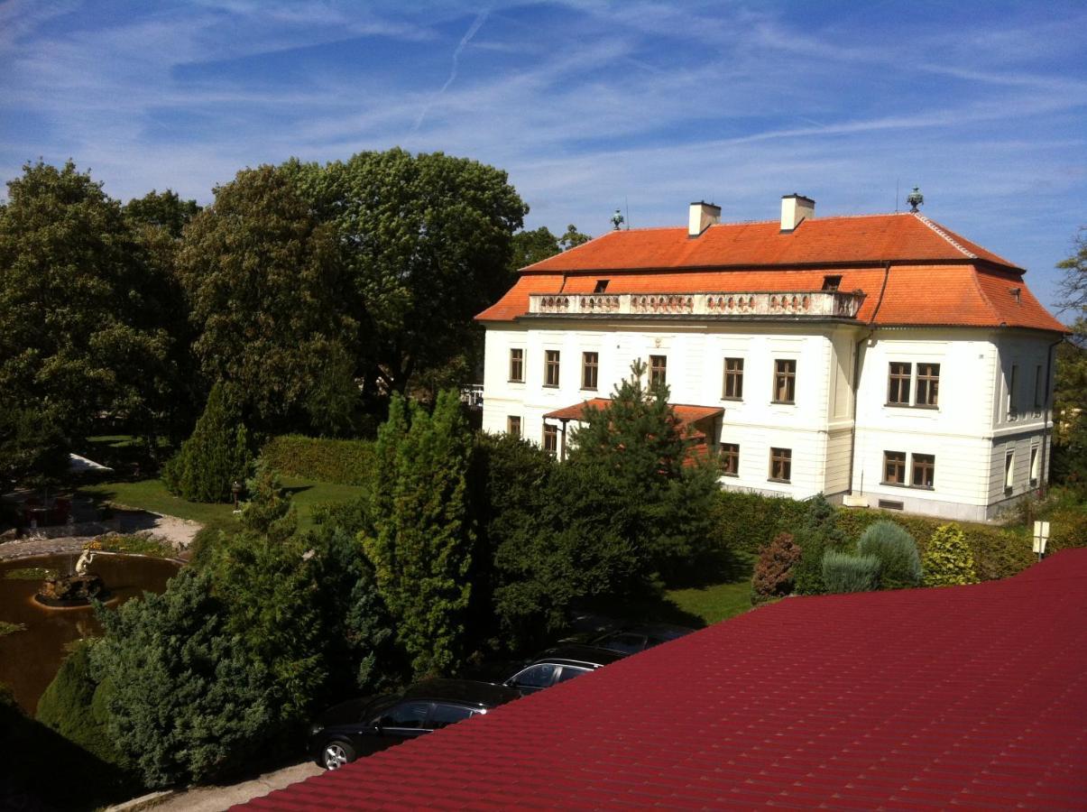 Hotel David Velke Bosany Экстерьер фото