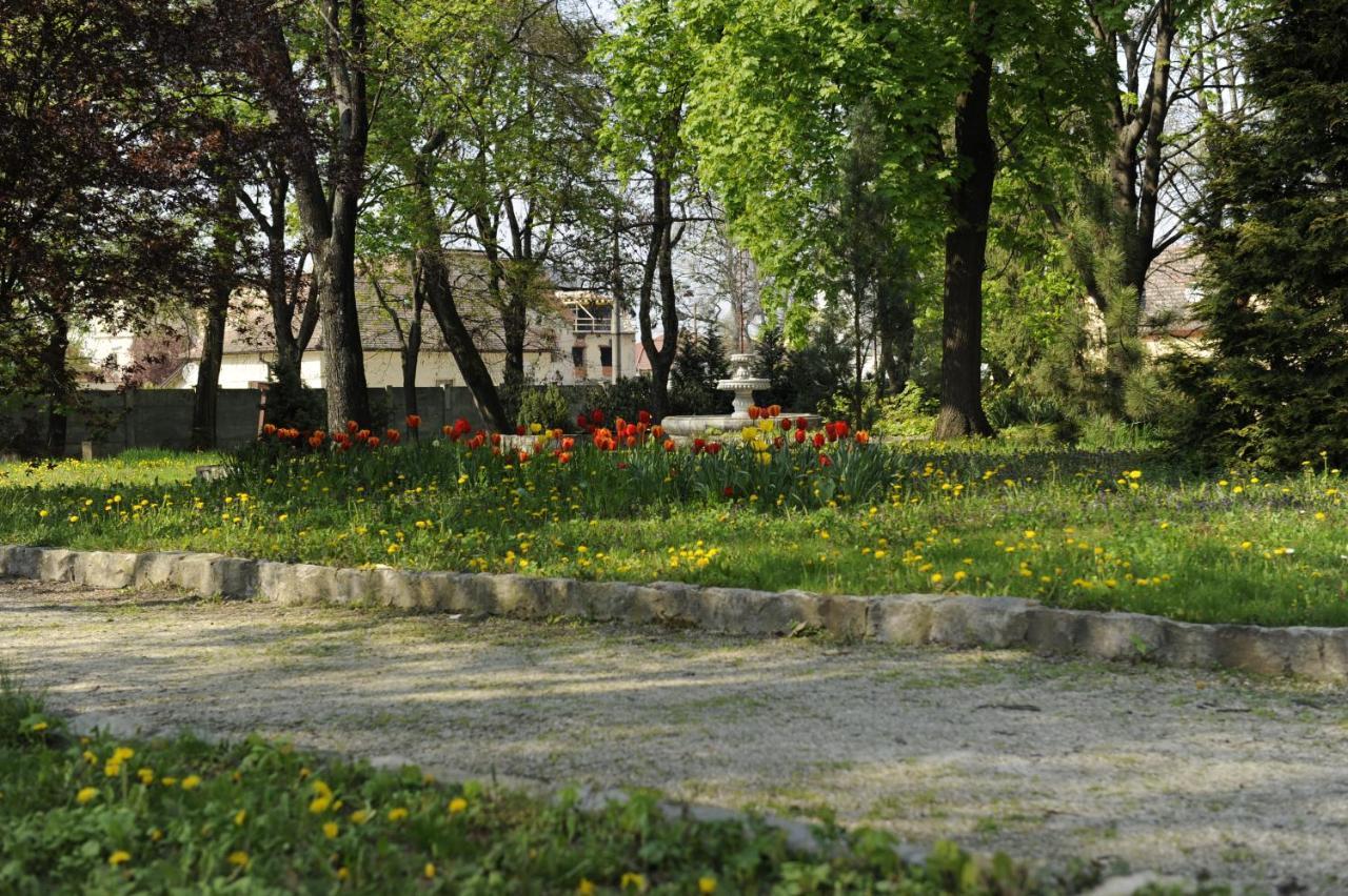 Hotel David Velke Bosany Экстерьер фото