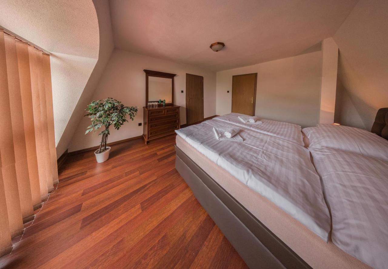 Hotel David Velke Bosany Экстерьер фото